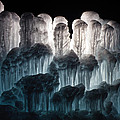Ice Forest